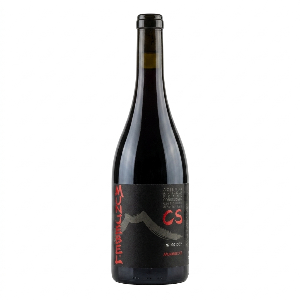 Frank Cornelissen MunJebel CS 2021