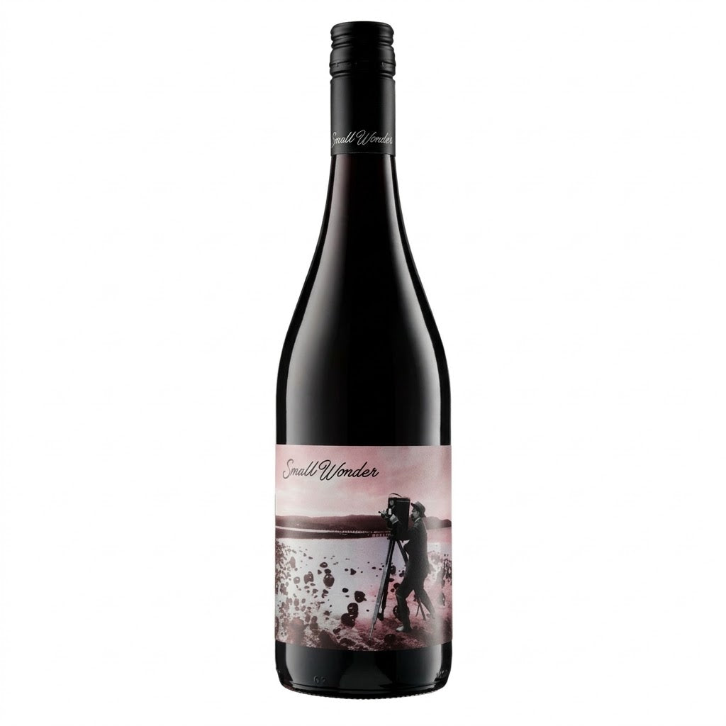 Small Wonder Pinot Noir Auburn 2024