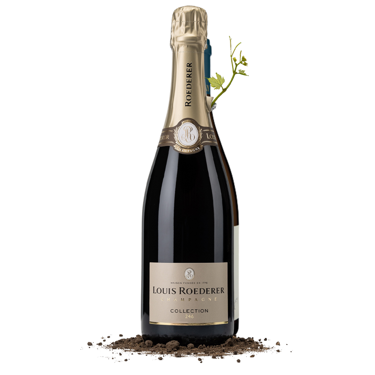 Louis Roederer Collection 246 GIFT BOX - 6 pack