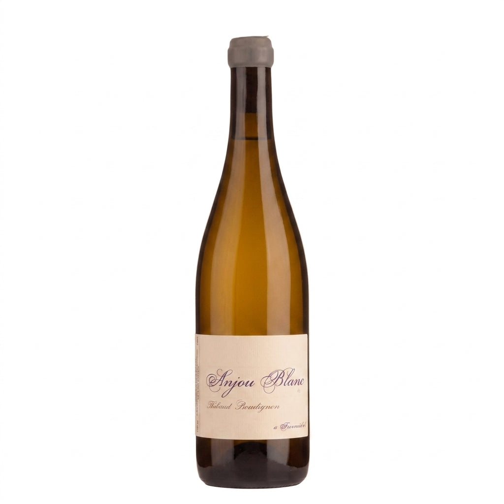 Thibaud Boudignon Anjou Francoise 2022 750ml