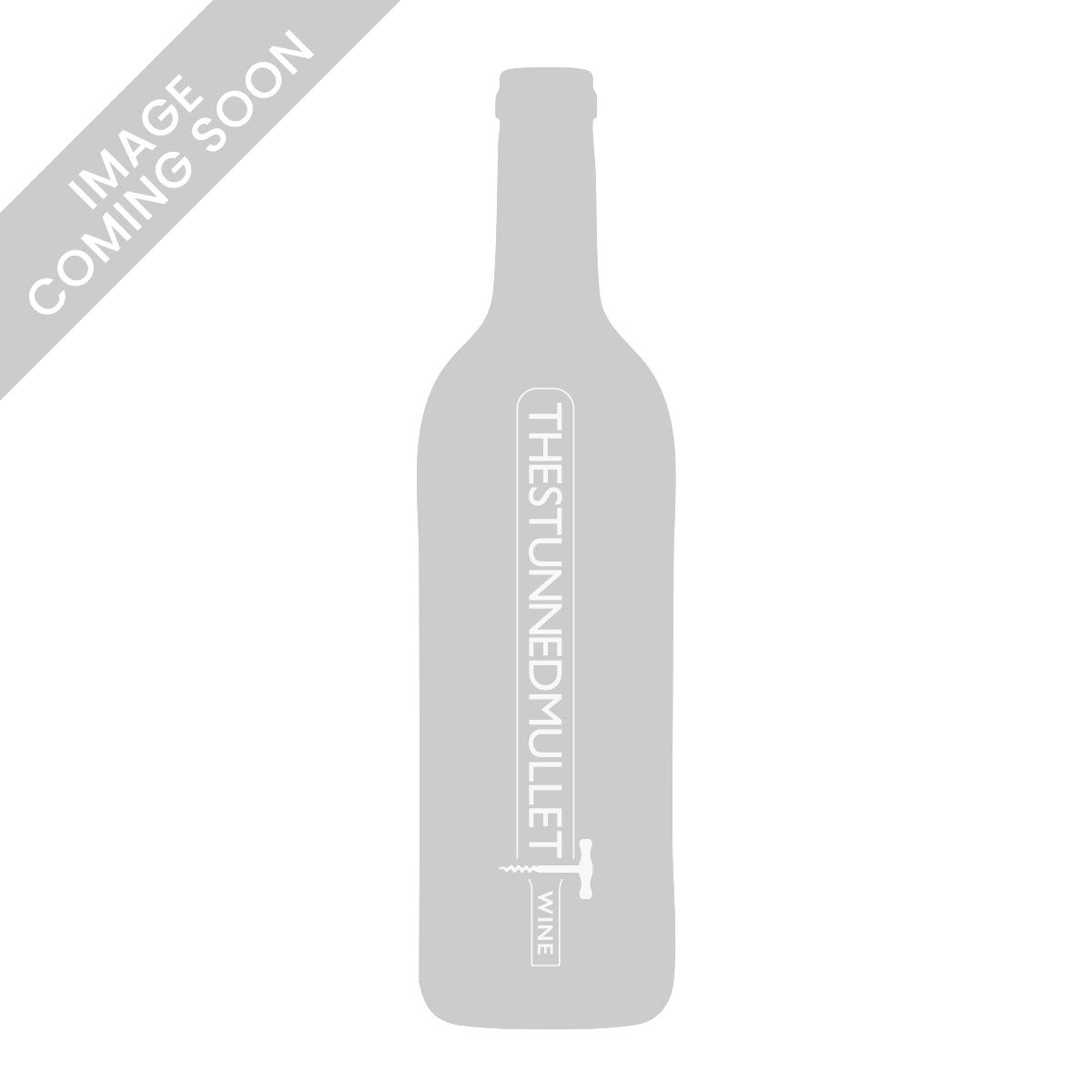 Thibaud Boudignon Savennieres Clos de Fremine 2023
