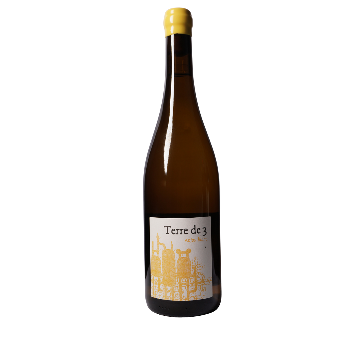 Terra Vita Vinum Terre de 3 2023